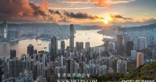 球探比分足球比-深度剖析，球探比分在足球比赛中的关键作用与实战应用