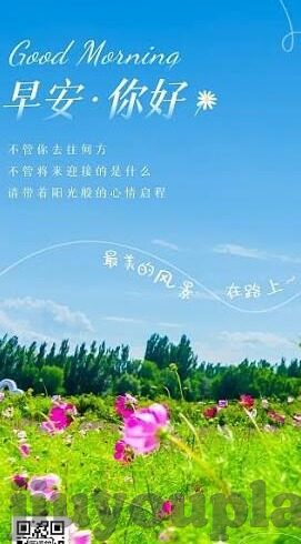 赢足球比分直播-揭秘赢足球比分直播，如何实时掌握赛场风云，成为足球资讯达人？