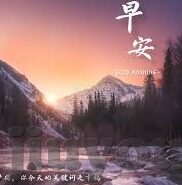 足球比分比分网-足球比分网的进化论，从数据罗盘到智能观赛新生态