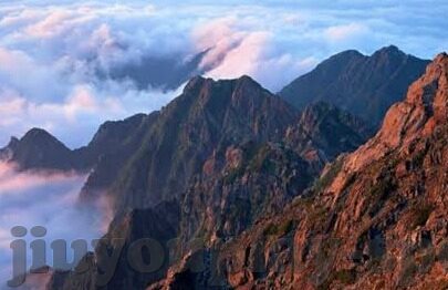 足球比分探球-足球比分探球，一场数字与激情的交响曲
