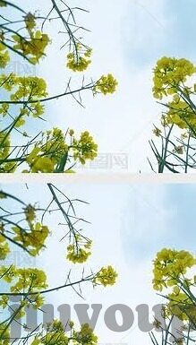 足球比分我-足球比分与我，一场跨越屏幕的情感联结