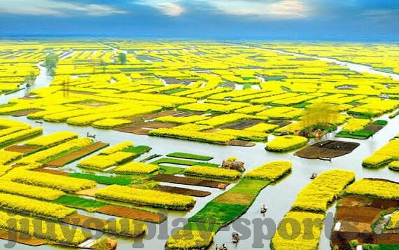 足球完场比分直-足球完场比分直击，赛场风云尽收眼底